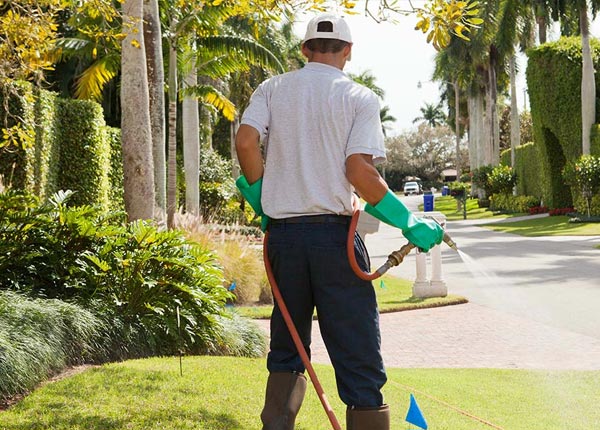About Campbellsburg KY Pest Control